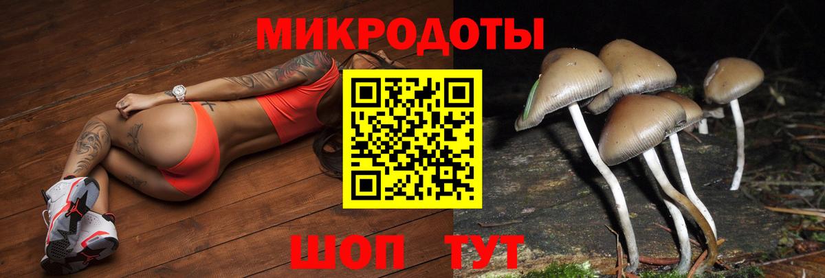 Кинель  Галлюциногенные грибы ЛСД  Вход с VPN 