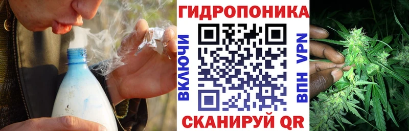 цены наркотик  Кинель  сайты даркнета формула  Конопля Amnesia  mega как войти 