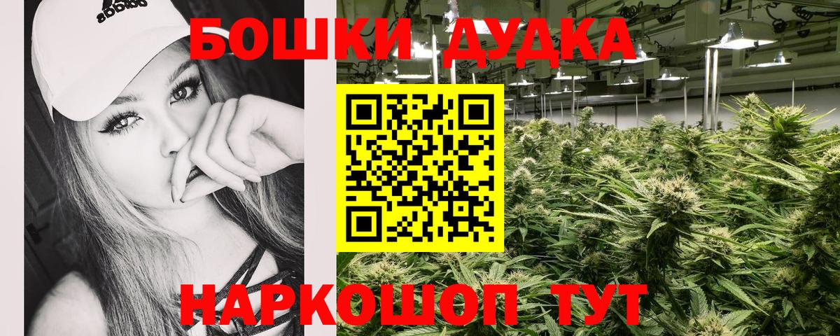 Кинель  Каннабис планчик  Канабис гибрид  Вход с VPN  Шишки марихуана семена 